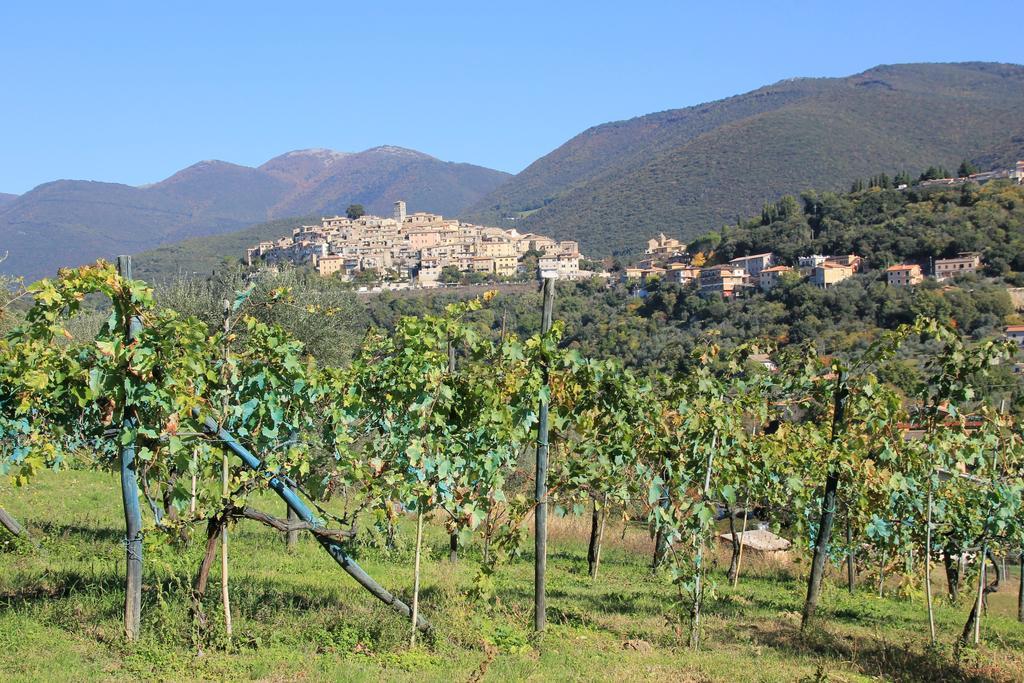 B&B Colle Perrini Country House Casperia エクステリア 写真